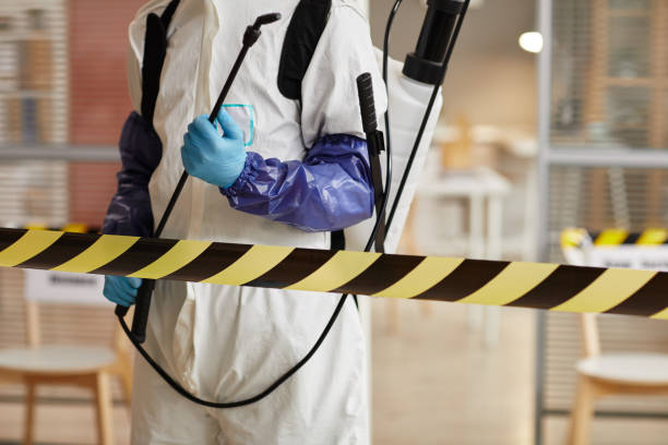 Professional Odor Removal technician working in Sea Cliff, NY